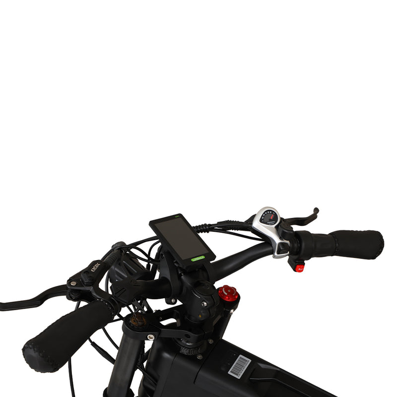 KUGOO T01 ELECTRIC BICYCLE